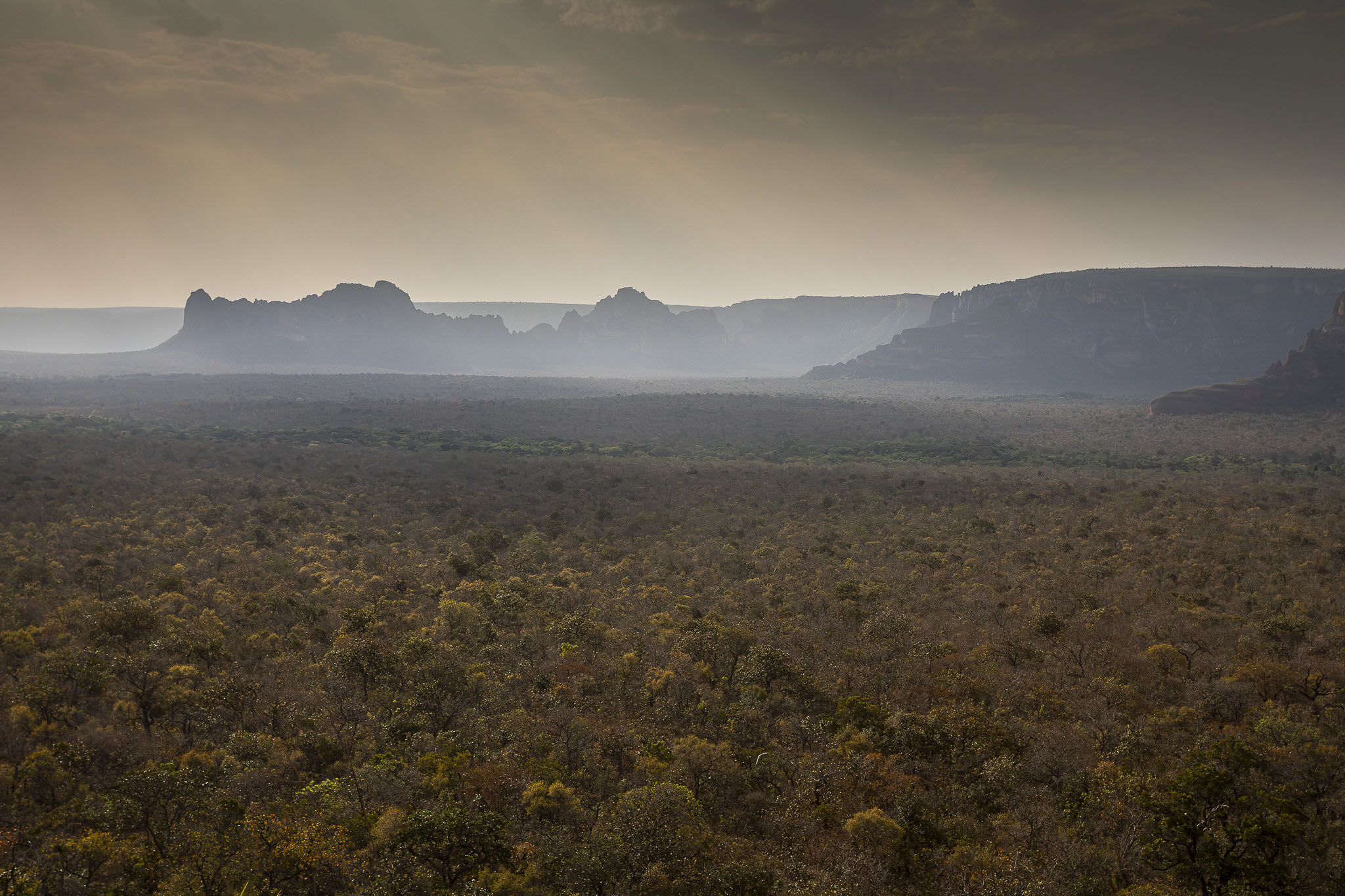 Imagem Expedição Chap Guim - ESEC Serra das Araras--24 da expedição de expedicoes/araras_25
